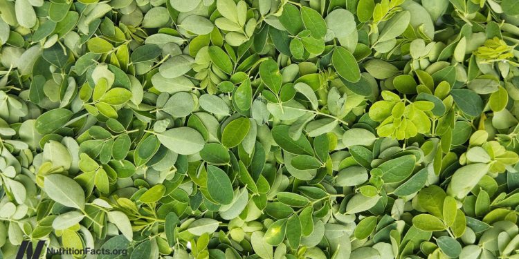 Ist Moringa das nahrhafteste Lebensmittel?