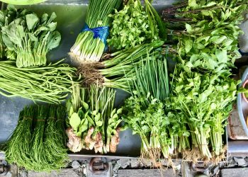 Herbiliciousicious Dwelling: Die geschmackvolle und gesunde Kraft des Kochens mit frischen Kräutern