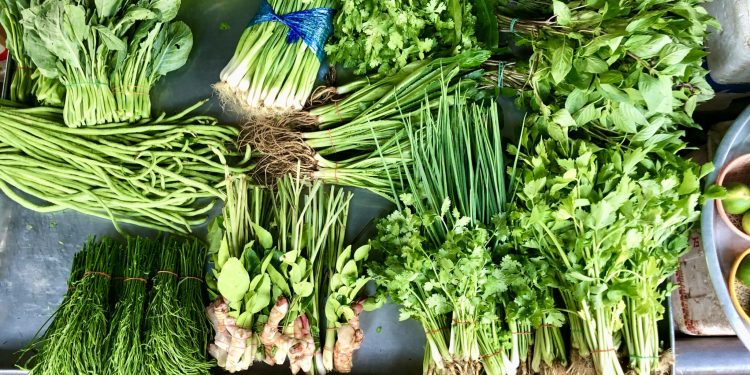 Herbiliciousicious Dwelling: Die geschmackvolle und gesunde Kraft des Kochens mit frischen Kräutern