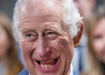 Pinsel, Pinsel, Pinsel. Hier ist die neue Ipana… – Normazager.com