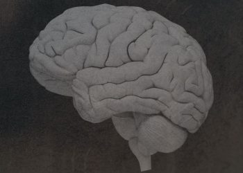 Was zu wissen über die Gehirnkrankheit CTE zu wissen zu wissen