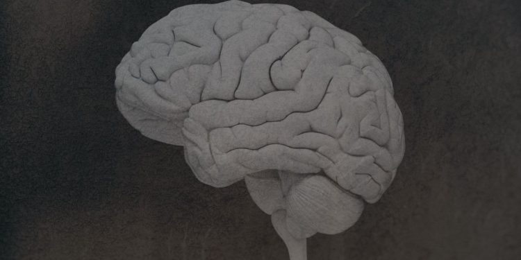 Was zu wissen über die Gehirnkrankheit CTE zu wissen zu wissen