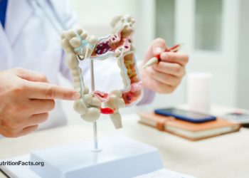 Die Gültigkeit von SIBO -Checks