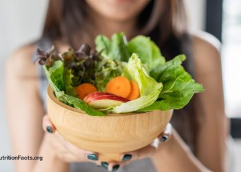 Faser oder Low FODMAP für SIBO?