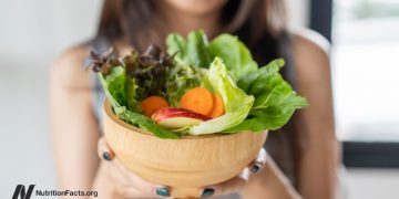 Faser oder Low FODMAP für SIBO?