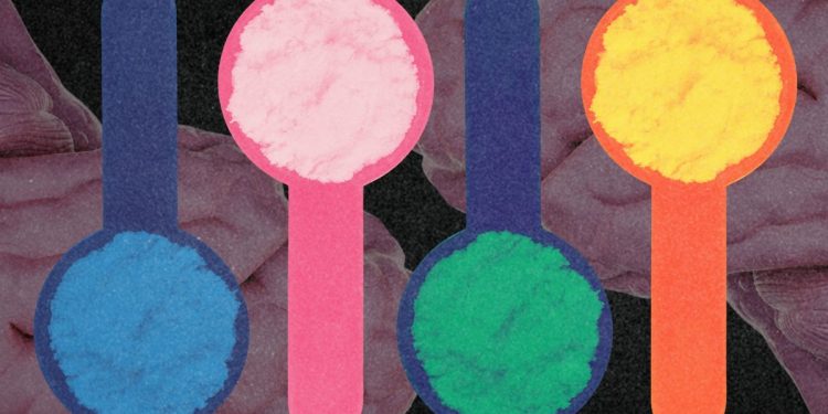 Kann Kreatin Ihr Gehirn scharf halten?