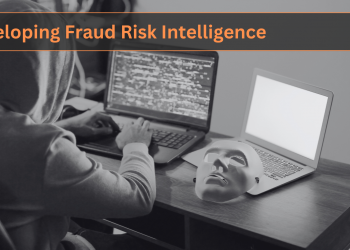 Die Verpflichtung eines Wirtschaftsprüfers, Betrugssysteme zu verstehen