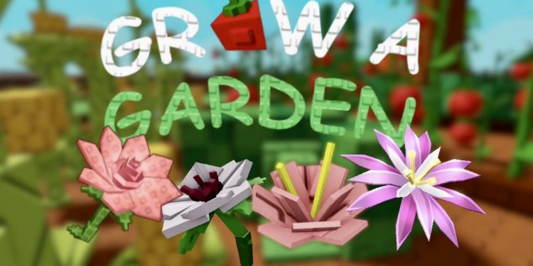 Praktisch gesehen – Normazager.com