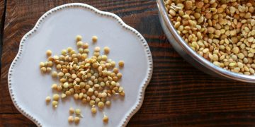 So sprießen Sie Getreide und Bohnen: Vorteile, Tipps und Rezepte