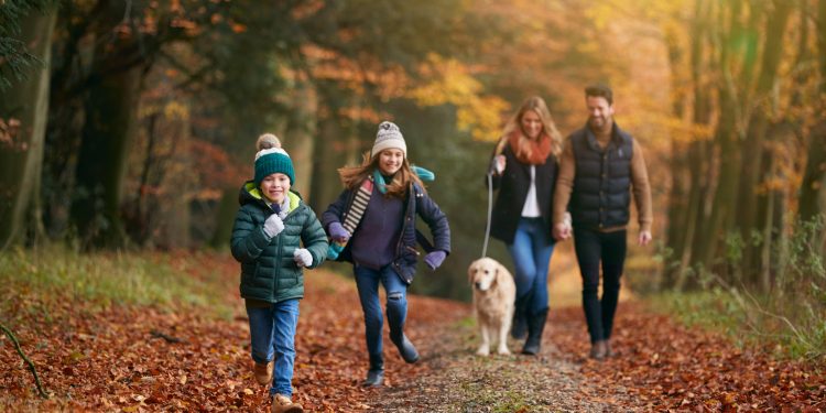 Pflege in der sich ändernden Jahreszeiten: Ihr Gleichgewicht finden