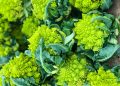 Wie man Romanesco Blumenkohl benutzt