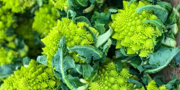 Wie man Romanesco Blumenkohl benutzt