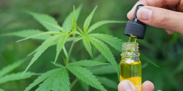 Hashish wirkt bei Rückenschmerzen, in neuen Studien: Pictures