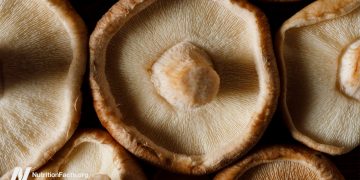 Krebsüberleben und Heilpilze