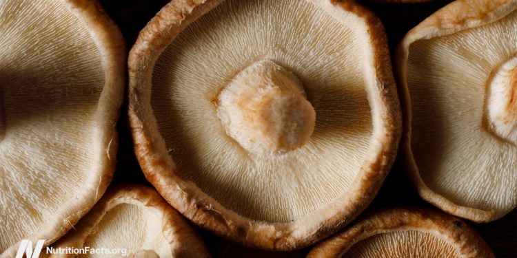 Krebsüberleben und Heilpilze