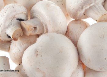 Prostatakrebs und Pilze