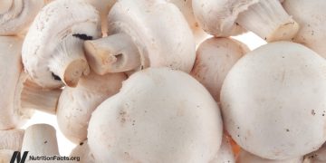 Prostatakrebs und Pilze