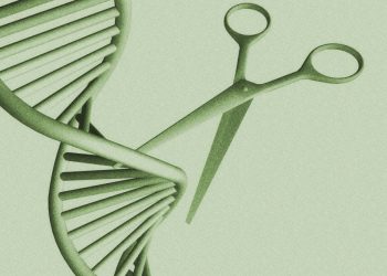 Kann eine einmalige Gentherapie den Cholesterinspiegel senken?