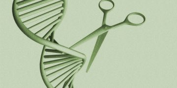 Kann eine einmalige Gentherapie den Cholesterinspiegel senken?