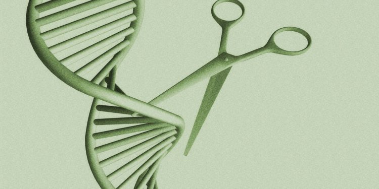 Kann eine einmalige Gentherapie den Cholesterinspiegel senken?