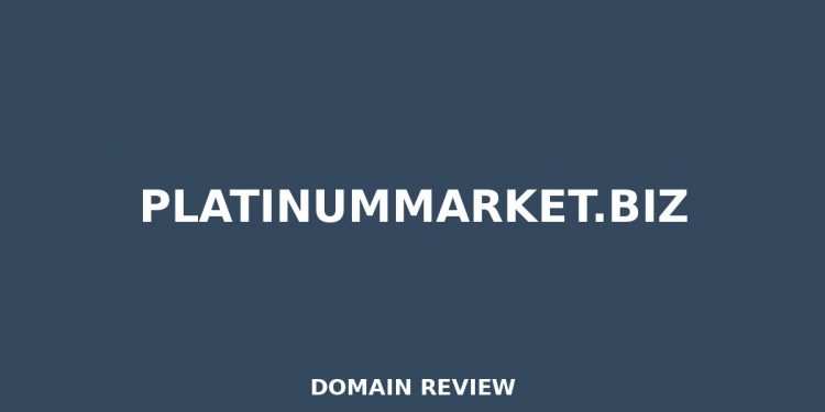 PLATINUMMARKET.BIZ Rückblick 2025 – MITTLERES RISIKO
