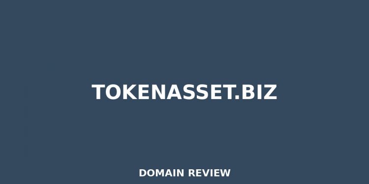 TOKENASSET.BIZ Rückblick 2025 – MITTLERES RISIKO