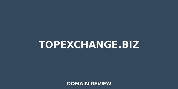 TOPEXCHANGE.BIZ Rückblick 2025 – MITTLERES RISIKO