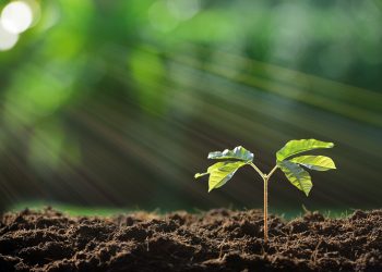 Die Wirkung unserer Stiftung im Jahr 2025