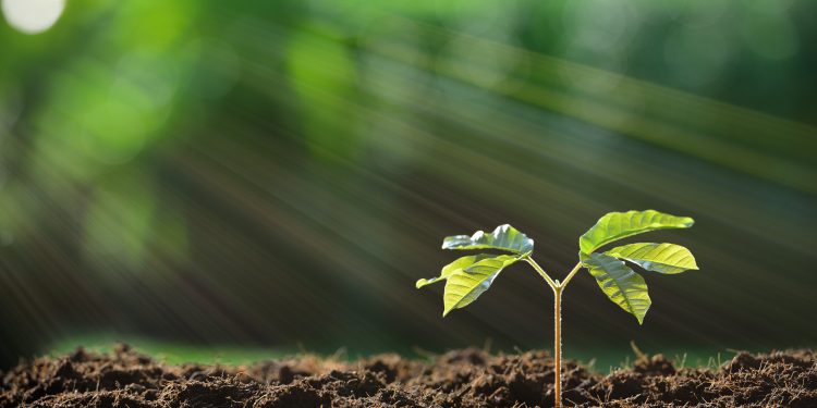 Die Wirkung unserer Stiftung im Jahr 2025