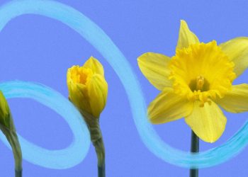 10 Anstoßwörter, die Sie im Jahr 2026 übernehmen sollten