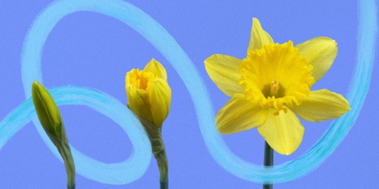 10 Anstoßwörter, die Sie im Jahr 2026 übernehmen sollten