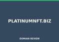 Platinumnft.biz 2025 Assessment – Legitimitätsprüfung
