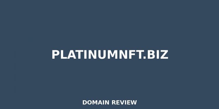 Platinumnft.biz 2025 Assessment – Legitimitätsprüfung