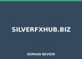 silverfxhub.biz Evaluation 2025 – Detaillierte Analyse