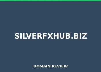 silverfxhub.biz Evaluation 2025 – Detaillierte Analyse