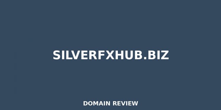 silverfxhub.biz Evaluation 2025 – Detaillierte Analyse
