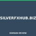 silverfxhub.biz Evaluation 2025 – Detaillierte Analyse