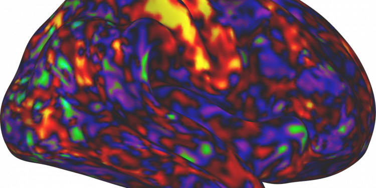 ADHS-Medikamente können die Erregung stärker steigern als die Aufmerksamkeit: Spritzen