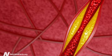 Wie niedrig kann das LDL-Cholesterin durch PCSK9-Inhibitoren sinken?