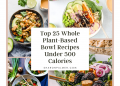 Die 25 besten Bowl-Rezepte auf pflanzlicher Foundation mit weniger als 500 Kalorien