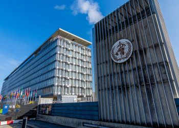 Was der Austritt der USA aus der WHO für die öffentliche Gesundheit bedeutet