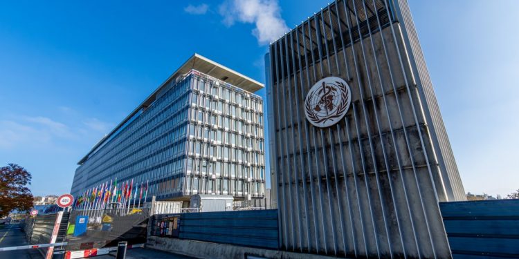 Was der Austritt der USA aus der WHO für die öffentliche Gesundheit bedeutet