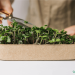 Wie man zu Hause Microgreens anbaut (auf einfache Weise)