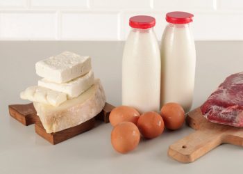 Die neuen Ernährungsrichtlinien von RFK Jr. beenden „den Krieg gegen gesättigte Fette“: Photographs