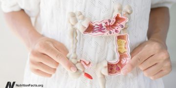 Welche Lebensmittel helfen bei einem durchlässigen Darm?