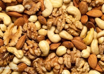 Nüsse, Sperma und Intercourse: Die überraschende Verbindung