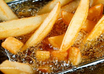 Der DNA-Schaden in frittierten Lebensmitteln