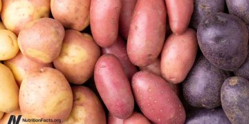 Welche Kartoffel ist die nahrhafteste?