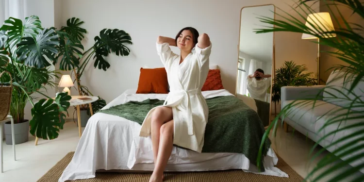 Beste Schlafzimmerpflanzen für Luftqualität und Entspannung