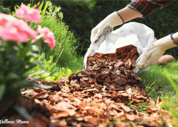 Checkliste für den Frühlingsgarten für eine einfachere Gartensaison